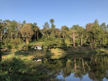 Reflection of trees in lake against sky