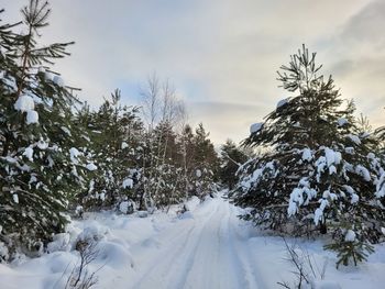 snow