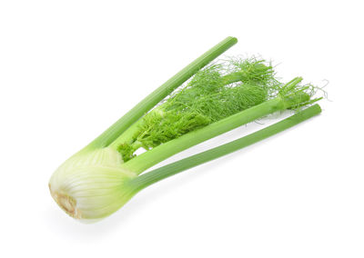 Close-up of green leaf against white background