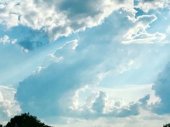 Low angle view of trees against sky