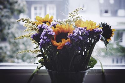 Close-up of flowers in vase on window sill