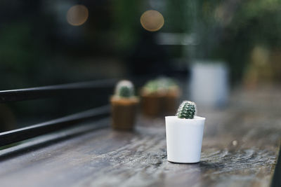 Close-up of potted plant on table