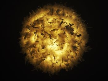 Low angle view of illuminated lights against black background