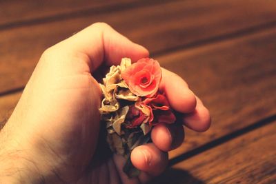 Close-up of hand holding rose