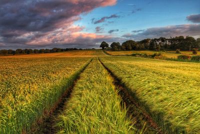 Scenic view of field against cloudy sky