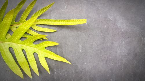 High angle view of yellow art on table