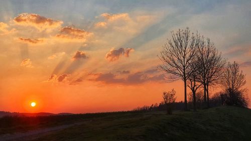Scenic view of field against sky during sunset