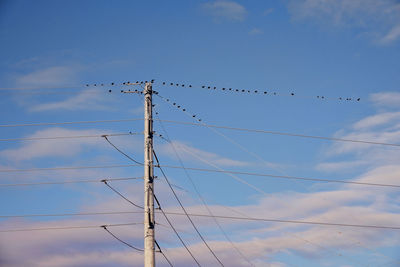 Low angle view of birds flying against blue sky