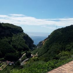 Scenic view of sea by trees against sky