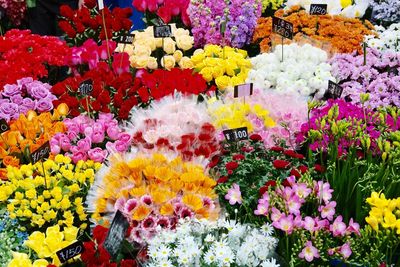 Multi colored flowers for sale in market