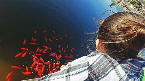 Rear view of girl looking at koi carps swimming in aquarium