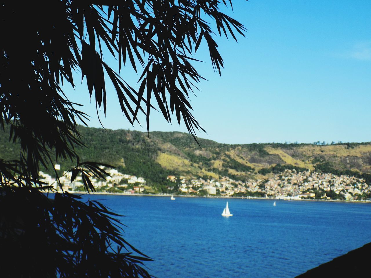 water, blue, tranquil scene, tranquility, tree, sea, scenics, clear sky, beauty in nature, nature, nautical vessel, mountain, boat, horizon over water, branch, lake, idyllic, sky, day, transportation