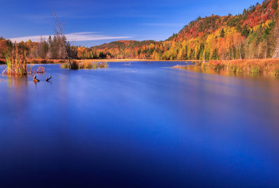 Scenic view of lake against sky during autumn