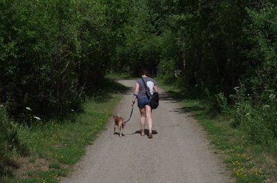 Rear view of woman with dog walking on footpath amidst trees