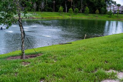 Scenic view of lake