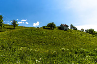 Scenic view of land against sky