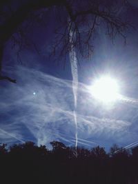 Low angle view of bare trees against sky