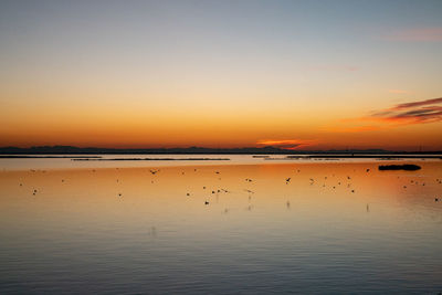 Scenic view of sea against sky during sunset