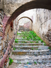 Steps in sunlight