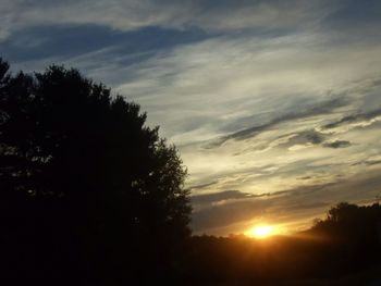 Silhouette of trees at sunset