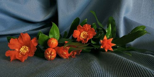 Close-up of flowers and leaves
