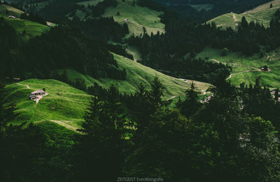 Scenic view of rural landscape