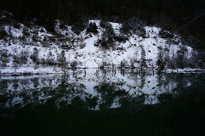 Scenic view of lake in forest during winter