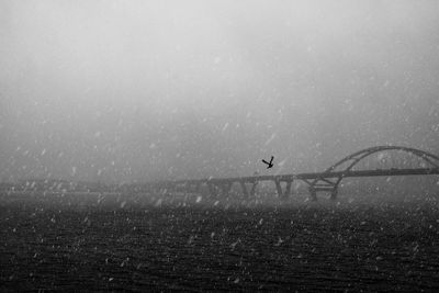 Silhouette birds flying over river against sky