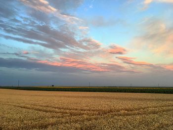 Scenic view of field against sky