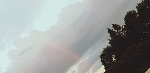 Low angle view of trees against sky