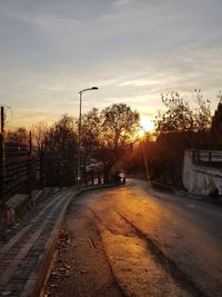 Empty road along trees at sunset