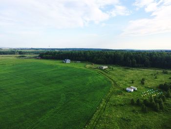 Scenic view of agricultural field against sky