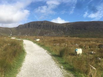 Empty road amidst field against sky