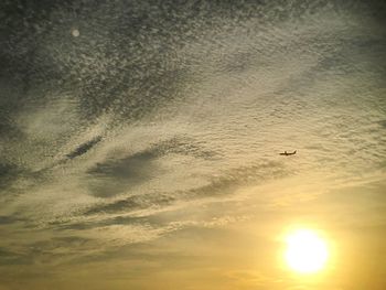 Low angle view of birds flying against sky