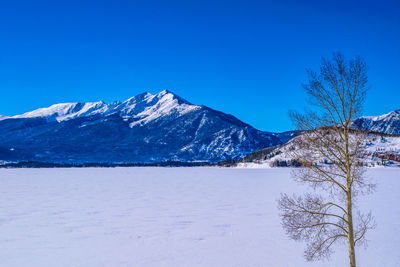 Scenic view of snowcapped mountains against clear blue sky