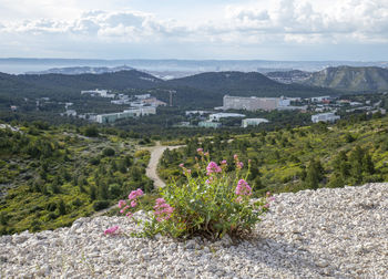 High angle view of flowering plants by mountains against sky