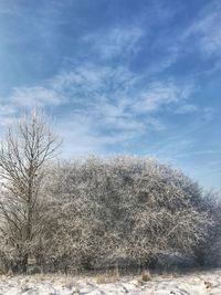 Snow covered landscape against sky