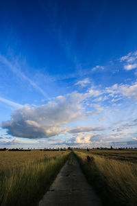 Road amidst agricultural field against blue sky