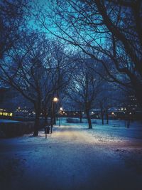 Bare trees against sky