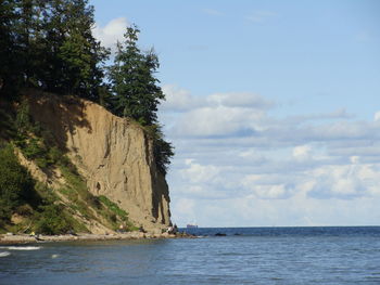 Scenic view of sea and trees against sky