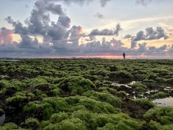 Scenic view of landscape against cloudy sky