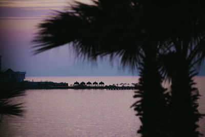 Silhouette palm trees by sea against sky during sunset