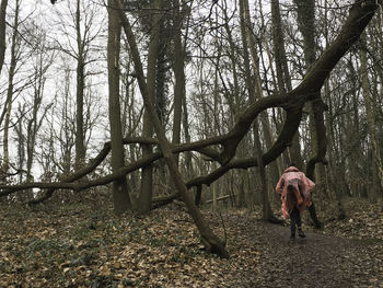 Low angle view of person with raincoat walking in forest