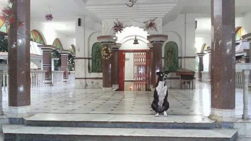 Low angle view of woman standing by railing