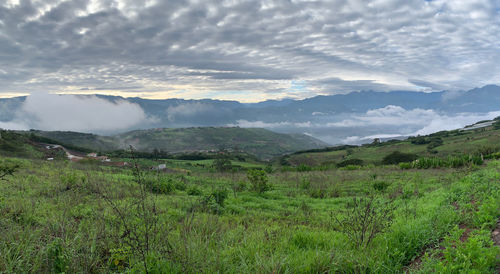 Scenic view of landscape against sky