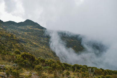 Rock formations against a foggy mountain background, aberdare ranges, kenya