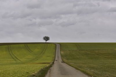 Empty road amidst field against sky