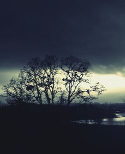 Silhouette of bare trees against sky