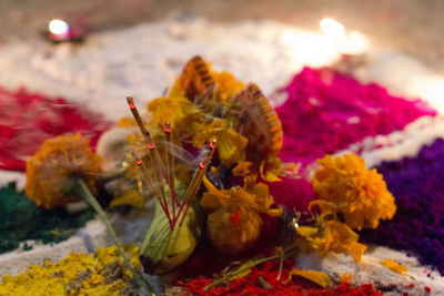 Close-up of marigold flowers