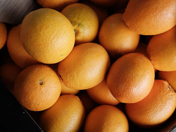 Oranges sold at the local store